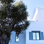 Sterna פראליה קימיס