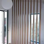 Sterna * פראליה קימיס