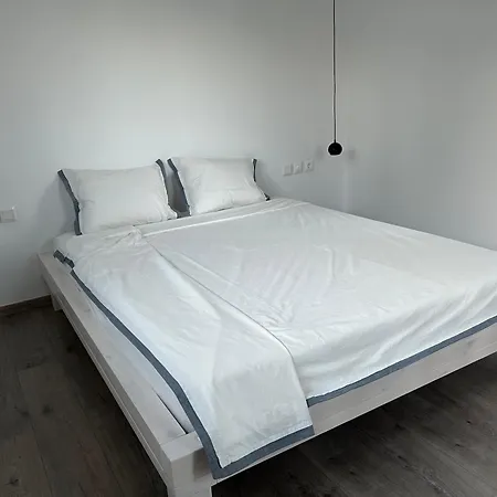 Sterna Paralia Kimis