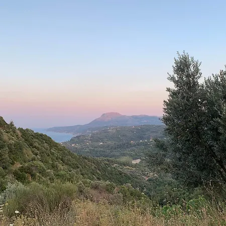 Sterna