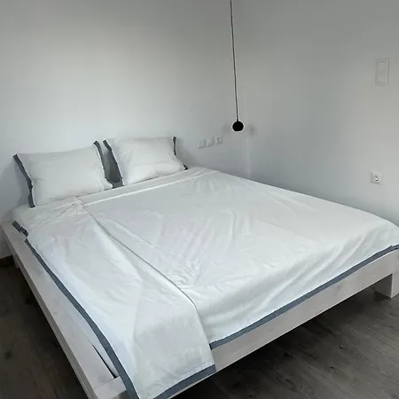 Sterna * Paralia Kimis
