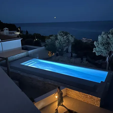 Sterna Paralia Kimis