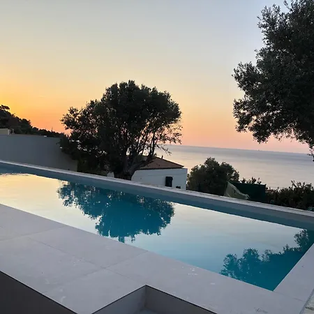 Sterna Paralia Kimis