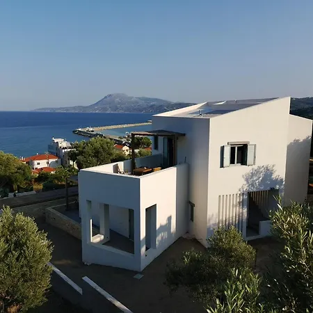 Sterna * Paralia Kimis