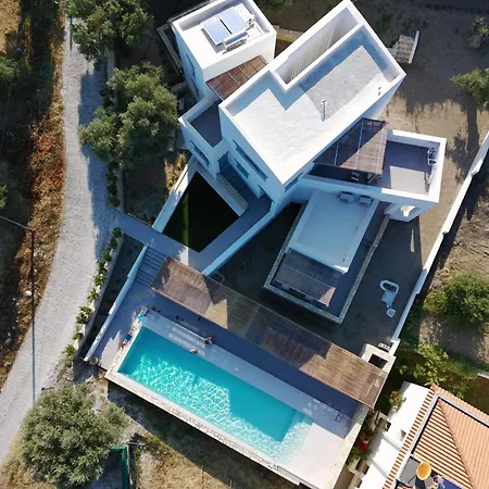 Sterna Paralia Kimis