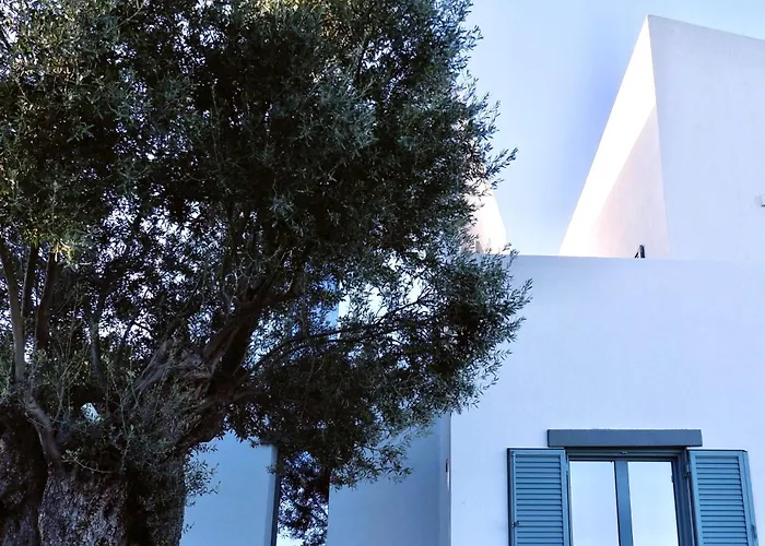 Sterna Paralia Kimis