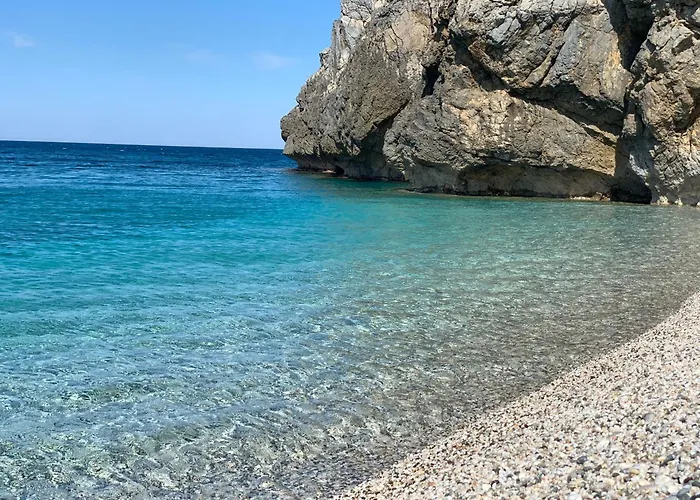 Sterna Paralia Kimis